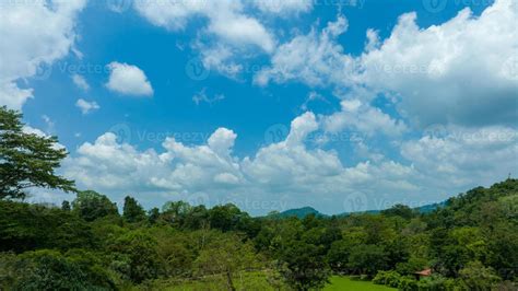 Aerial View Of Beautiful Natural Green Field Of Forest In The Wild