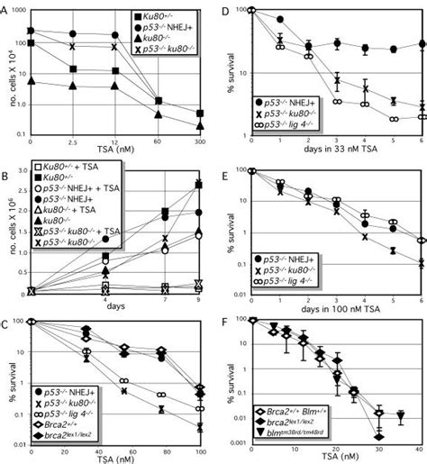 Sensitivity Of Dna Dsb Repair Altered Cells To Tsa A And B Primary