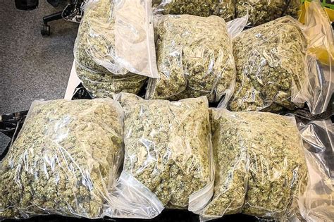 Zoll Stellt Zehn Kilogramm Marihuana Sicher Ostfriesische Nachrichten