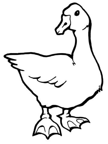 Dibujo Para Colorear Supercolor De Ganso Dibujos De Geese Para Colorear