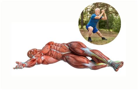 mobility exercises      improve  range