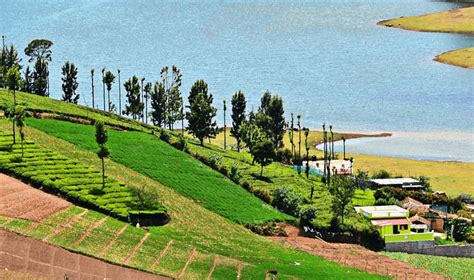 3 Days Valparai Top Slip Tour Package Tin Tin Tours India Pvt Ltd