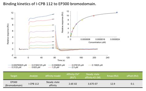 P300 Bromodomain Spr Assay Service Reaction Biology