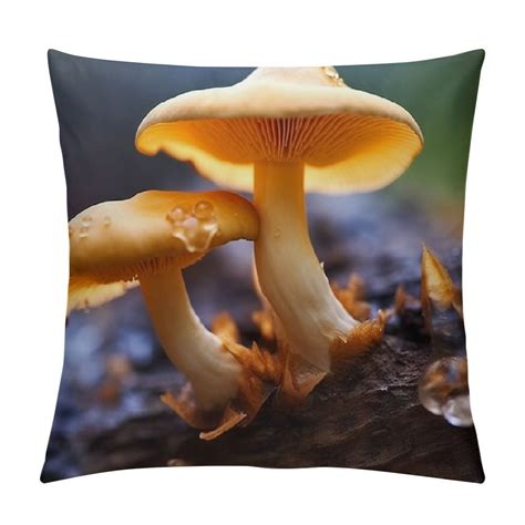 Gotuvs Throw Pillow Cover Toadstools Fungus Mushroom Nature Fungi