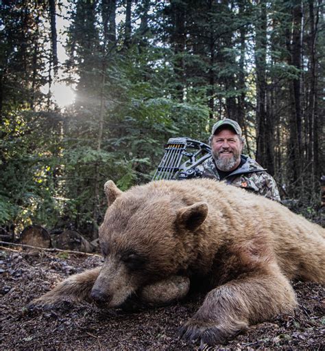 Canada Grizzly Hunts