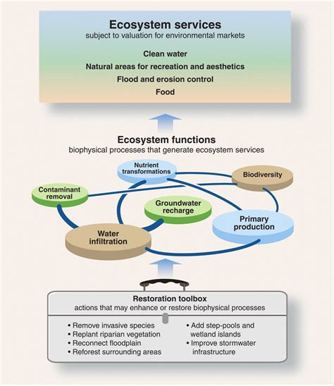 Restoration Of Ecosystem Services For Environmental Markets Science