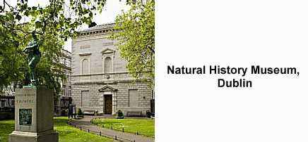 Natural History Museum, Dublin