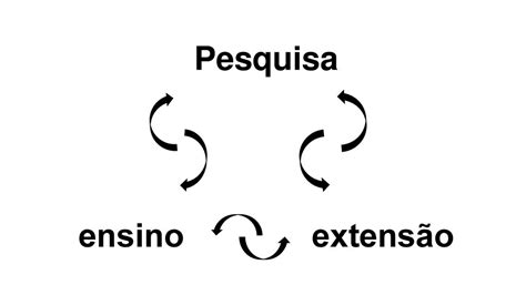 Articulações entre os Estudos CTS e a Educação CTS nas atividades do