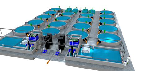 Project Concept For Aquaculture In Ras And Flow Through Systems Rex M