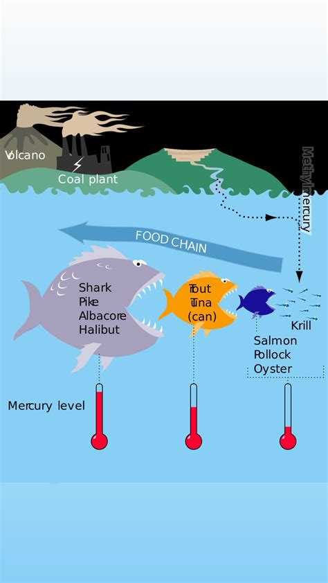 Bluefin Last Of The Giants On Twitter Bluefindoc Bluefintuna