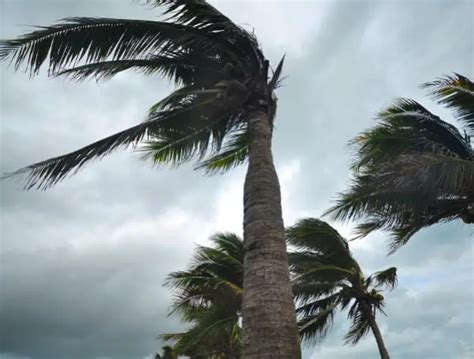 Citizens Insurance Tops Million Policies As Florida Braces For