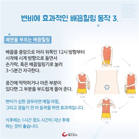 카드뉴스 배꼽힐링과 함께하는 변비 탈출 당신의 건강가이드 헬스조선