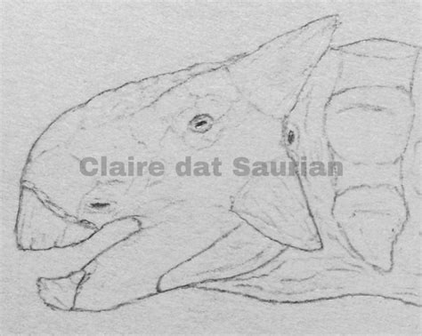 Ankylosaurus by ClairedatSaurian on DeviantArt