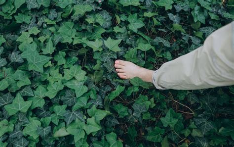 8 Benefits Of Walking Barefoot + Tips On How To Start Grounding