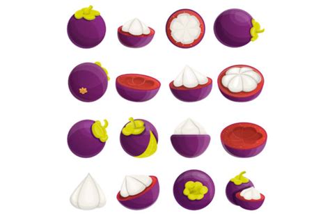 Mangosteen Icons Set Cartoon Style Graphic By Nsit0108 · Creative Fabrica