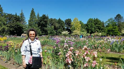 Oregon Travel: Visiting Schreiner's Iris Gardens - Pechluck's Food Adventures