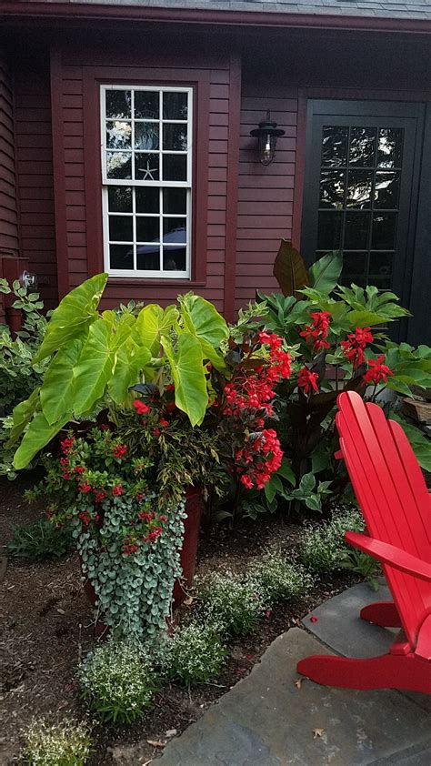 Making A New Garden In Connecticut Fine Gardening