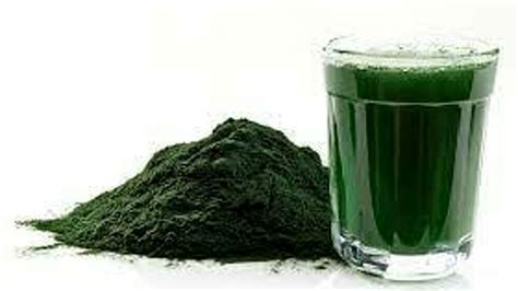 Alga Spirulina A Cosa Serve E Quali Sono I Suoi Benefici