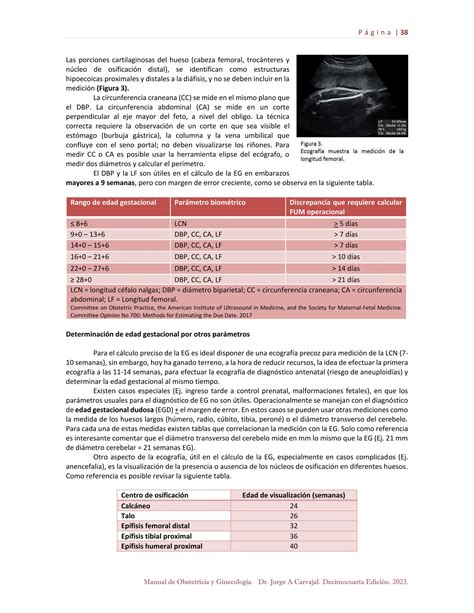 Manual Obstetricia Y Ginecologia Final Compressed Pdf