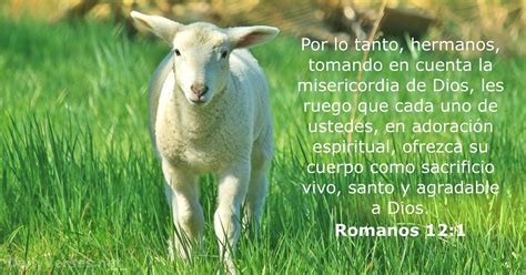 Romanos Vers Culo De La Biblia Dailyverses Net