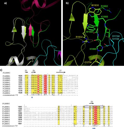 Figure From Structure And Function Of The Intracellular Region Of The