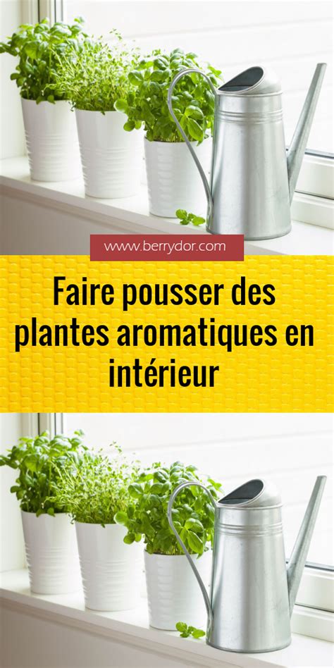 Pousser Des Plantes Artofit