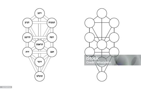 Simbolo Vettoriale Della Kabbalah Isolato Geometria Sacra E Albero