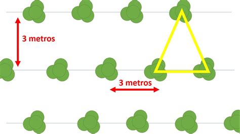 La fórmula para calcular el tresbolillo y sacar ventaja ALMARURAL