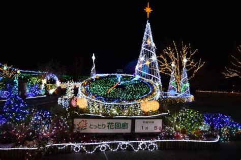 全面リニューアル！「フラワーイルミネーションinとっとり花回廊」に行ってきた 南部町 とっとりのーと