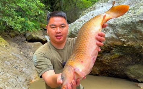 洪水过后在废弃的小水塘抽水捉鱼，捉到一条大鲤鱼 农村生活苏源 农村生活苏源 哔哩哔哩视频