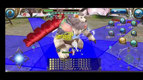 Baavgai 260 Katana Solo 0027 Youtube