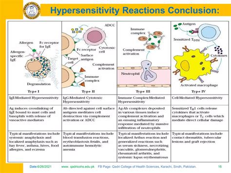 Primary And Secondary Immune Response Ppt