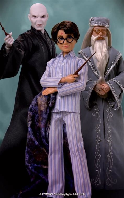 Mattel Harry Potter Exclusive Design Collection Collector dolls Albus ...