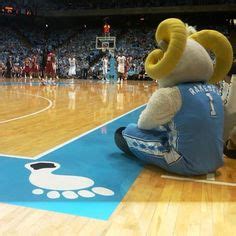 45 Best Rameses images | Unc tarheels, Tar heels, Carolina blue