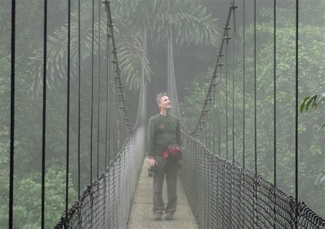 Arenal Hanging Bridges Walking Tour Costa Rica Transportation And