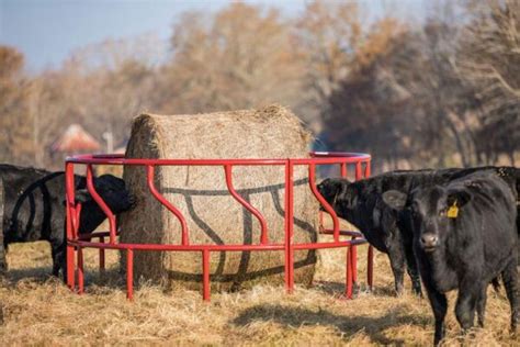 Cattle 8 S Bar Round Bale Feeder Pierce Milling Inc