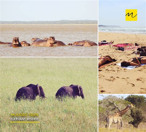 Mozambique Safari And Beach Tour 12 Days Tour Mussiro Trips
