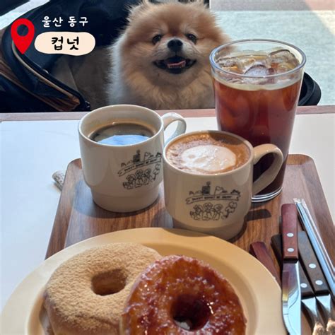 울산 반려견과 함께 가기 좋은 카페 동구 애견놀이터가 있는 도넛 맛집 주전 컵넛🍩 네이버 블로그