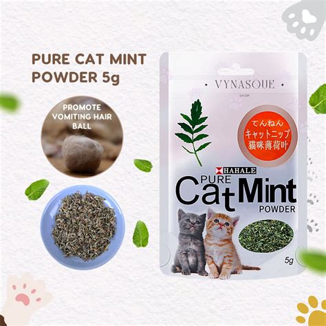 Pokok Galak Kucing Pure Catmint Powder Organic Premium Catnip Cat