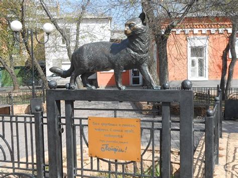 Irkutskaya Koshka (Irkutsk) - 2020 All You Need to Know BEFORE You Go ...