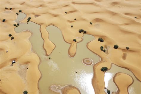 L eau jaillit à travers les palmiers et les dunes de sable après de