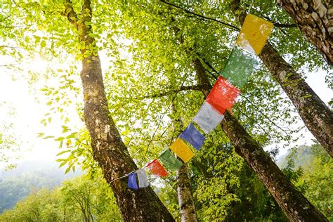 HD wallpaper: Tibet Flags, close-up photo of multicolored apparel ...