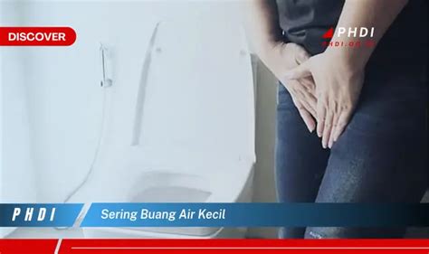 Intip Rahasia Sering Buang Air Kecil Yang Wajib Kamu Ketahui