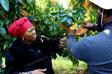 Icymi Career Boost Ahead For Kzn Agri Graduates Food For Mzansi