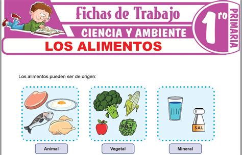 Los Alimentos Para Primero De Primaria Fichas De Trabajo