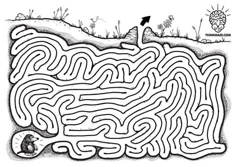 Mazes for kids, Ants, Printable mazes