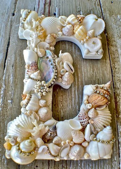 Best Diy Shell Projects Ideas And Designs For