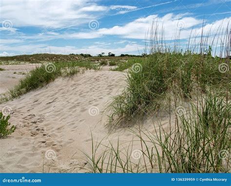 Atlantic Beach Sand Dunes And Sea Grass Stock Image Image Of Carolina