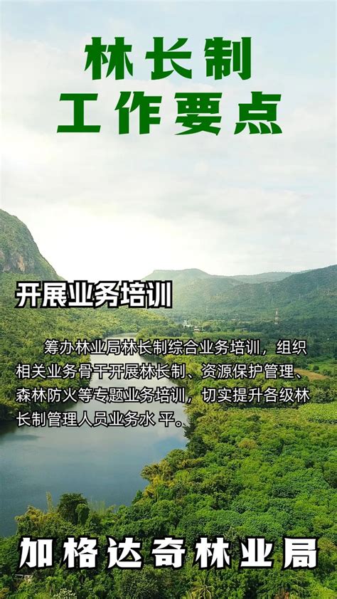 【林长知林】增绿就是增优势 护林就是护财富澎湃号·政务澎湃新闻 The Paper