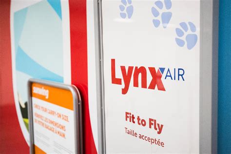 Canadian Low Fare Airline Lynx Air Is Shutting Down Customers May Be